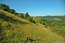 3 Blick ins Gebiet
